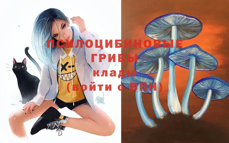 Галлюциногенные грибы Magic Shrooms  Кимры 